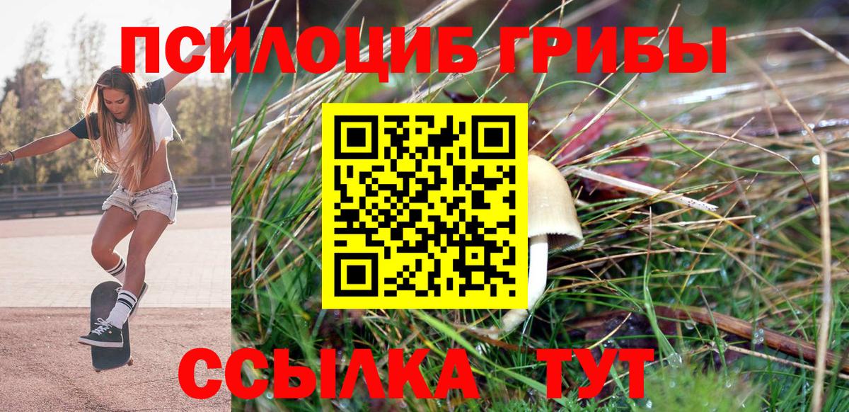Псилоцибиновые грибы GOLDEN TEACHER Елец